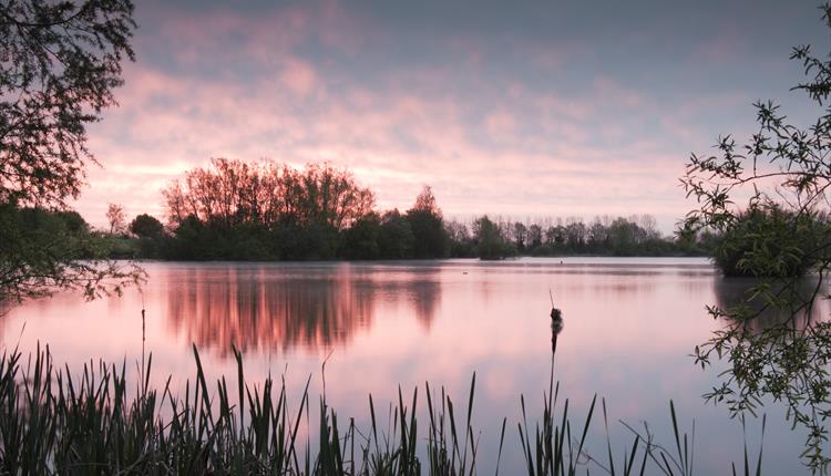 New paths installed at Lower Moore Nature&nbsp;Reserve