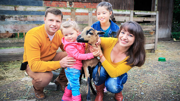 Entertainment Swindon – Half Term&nbsp;Guide