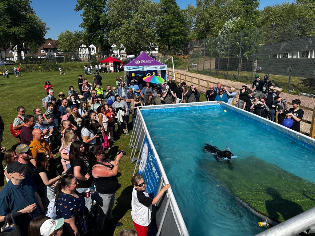 The Big Bark comes to Lydiard Park this&nbsp;weekend
