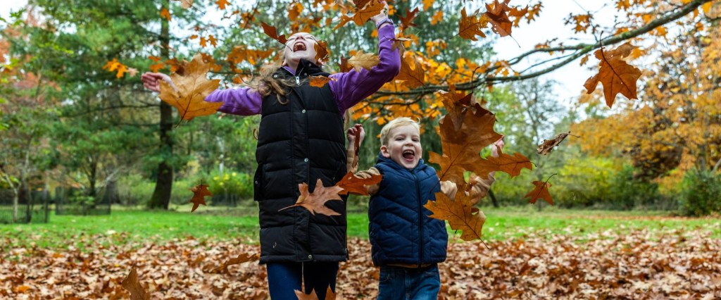 Forestry England asks public to help map out autumn